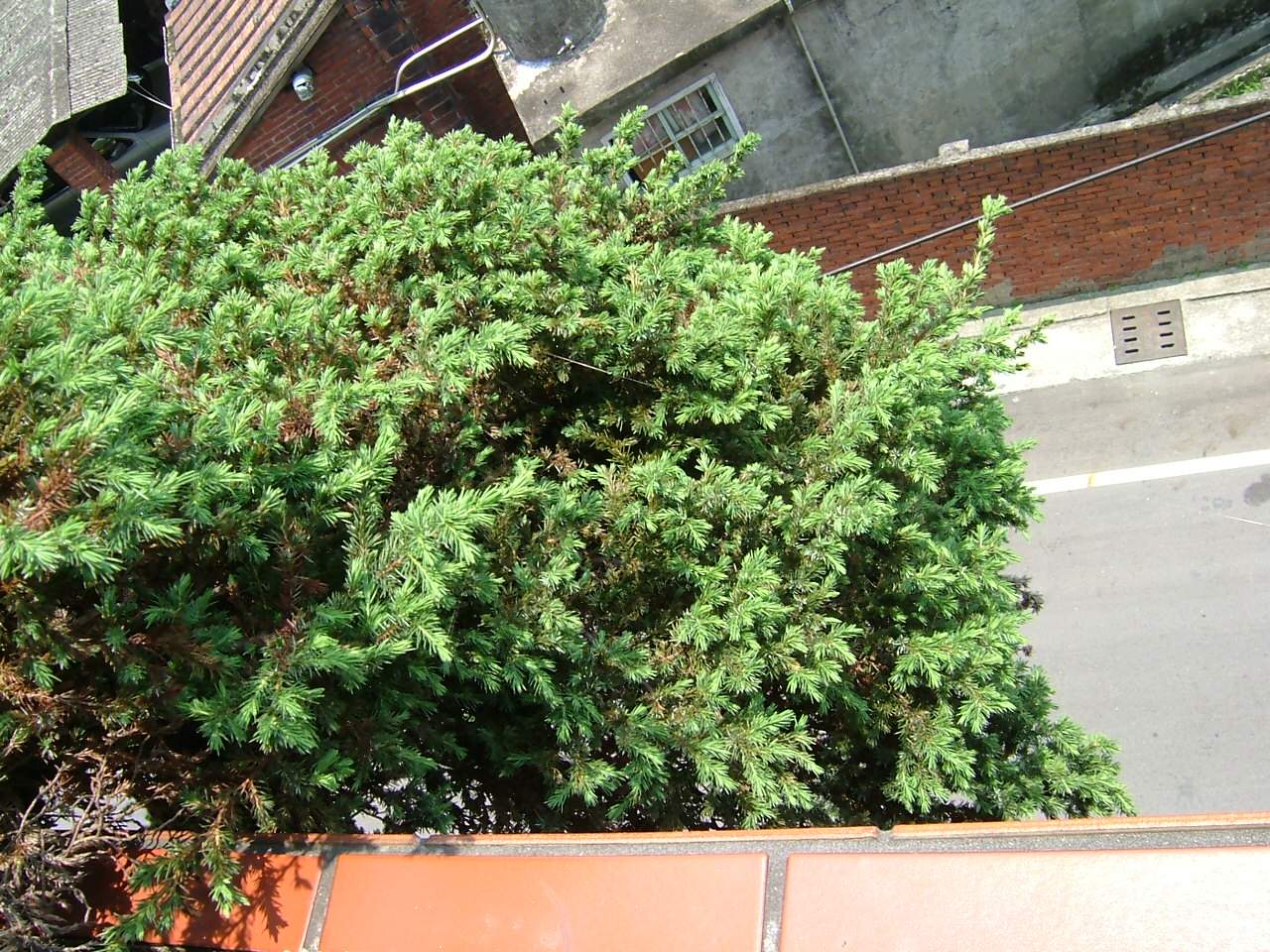 «ö¦¹¦b·sµøµ¡ÂsÄý¹Ï¤ù