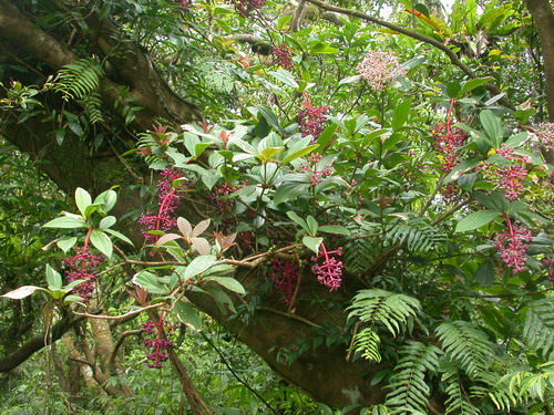 按此在新視窗瀏覽圖片