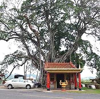 按此在新視窗瀏覽圖片