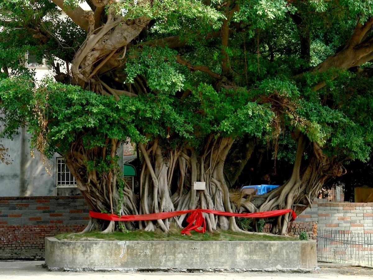 按此在新視窗瀏覽圖片