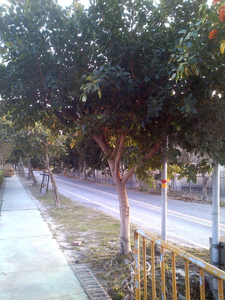 按此在新視窗瀏覽圖片