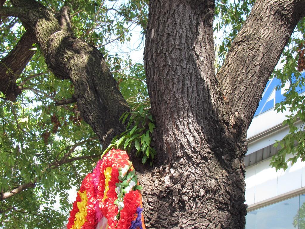 按此在新視窗瀏覽圖片