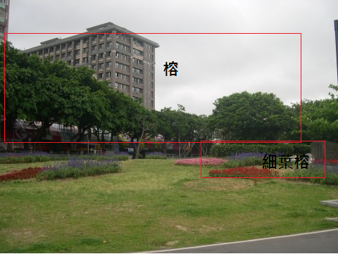 按此在新視窗瀏覽圖片