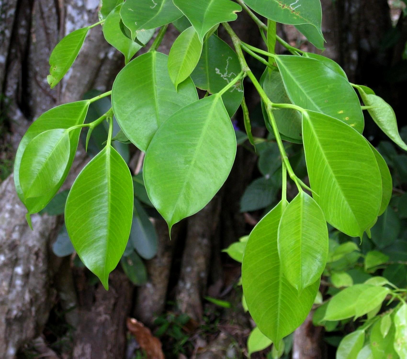 «ö¦¹¦b·sµøµ¡ÂsÄý¹Ï¤ù