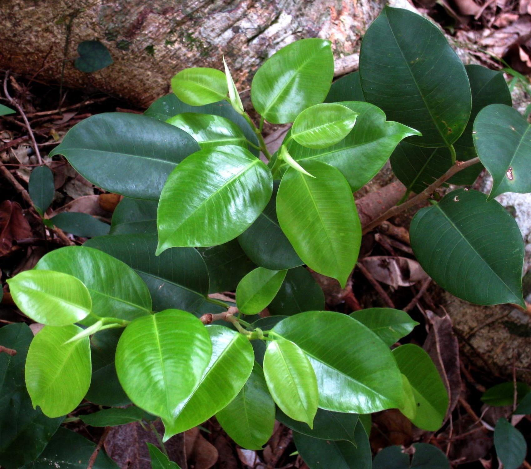 «ö¦¹¦b·sµøµ¡ÂsÄý¹Ï¤ù