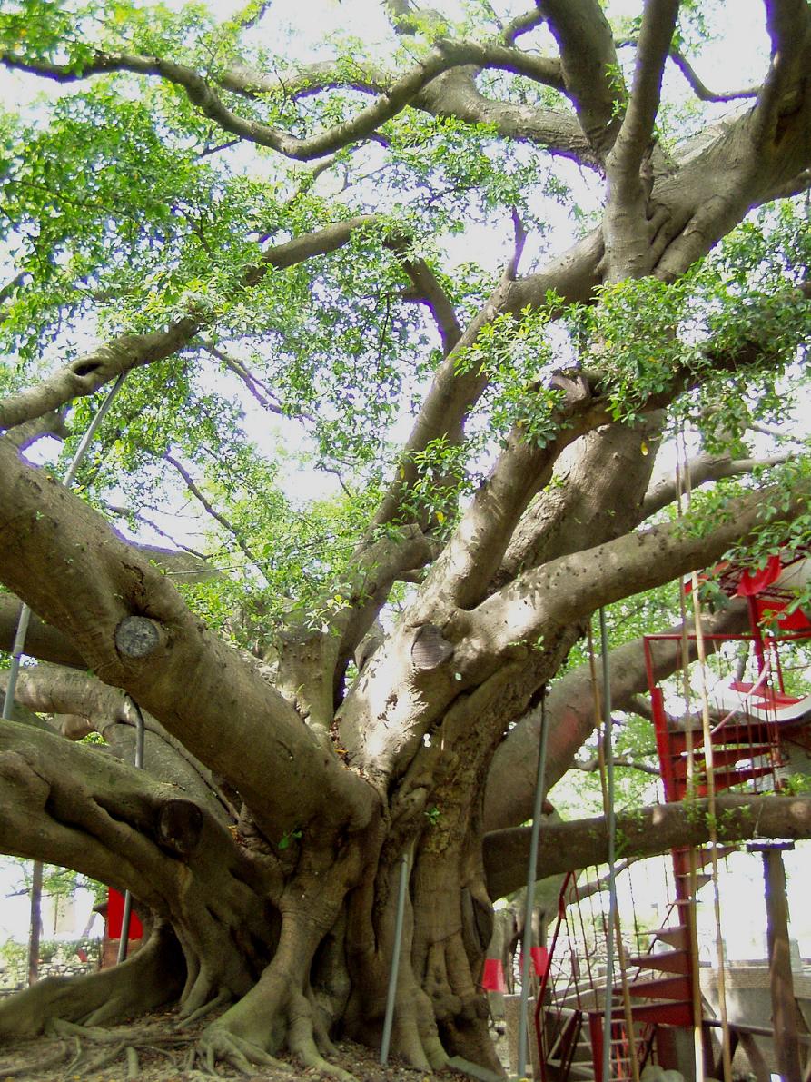 «ö¦¹¦b·sµøµ¡ÂsÄý¹Ï¤ù