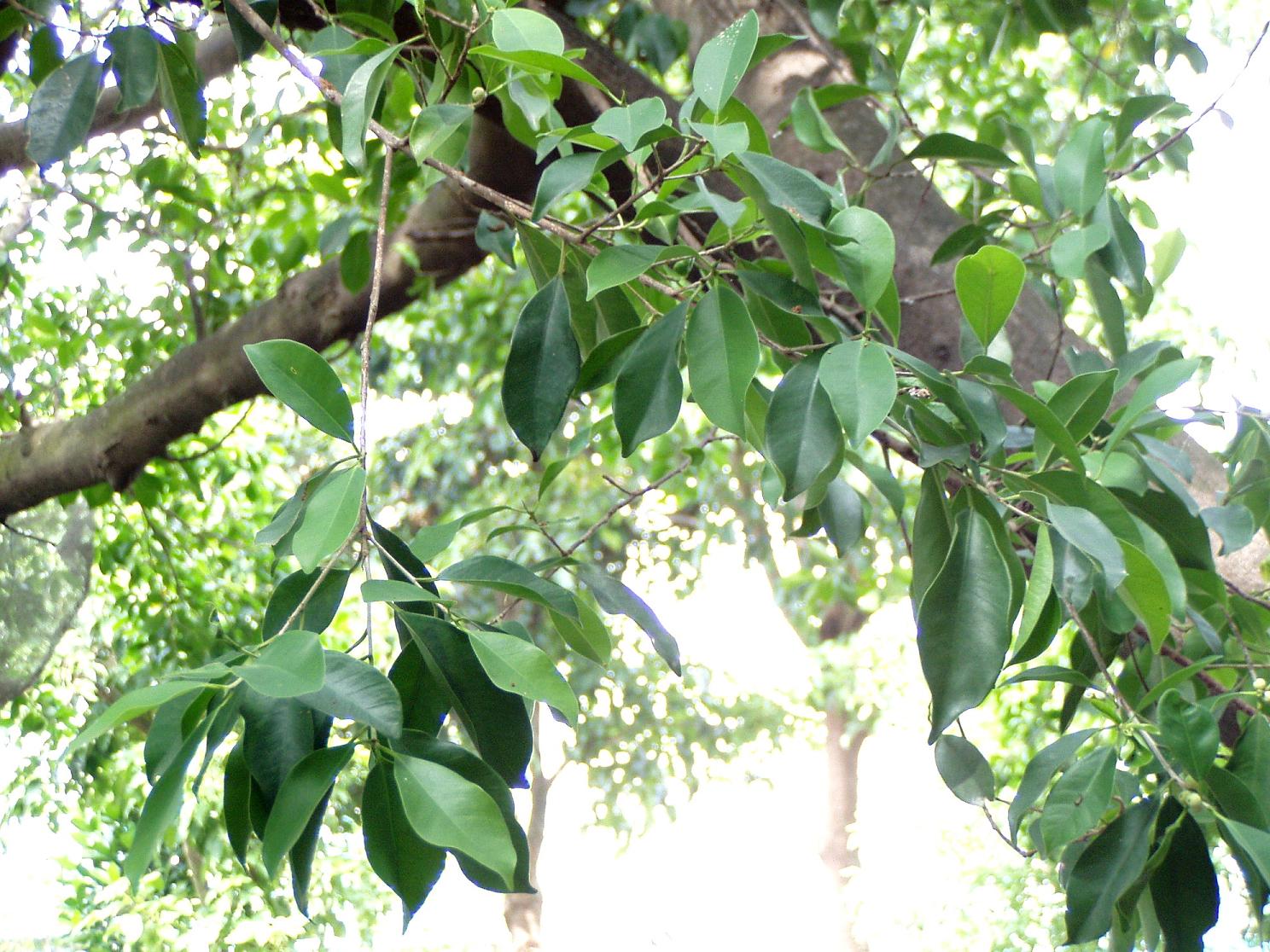 «ö¦¹¦b·sµøµ¡ÂsÄý¹Ï¤ù