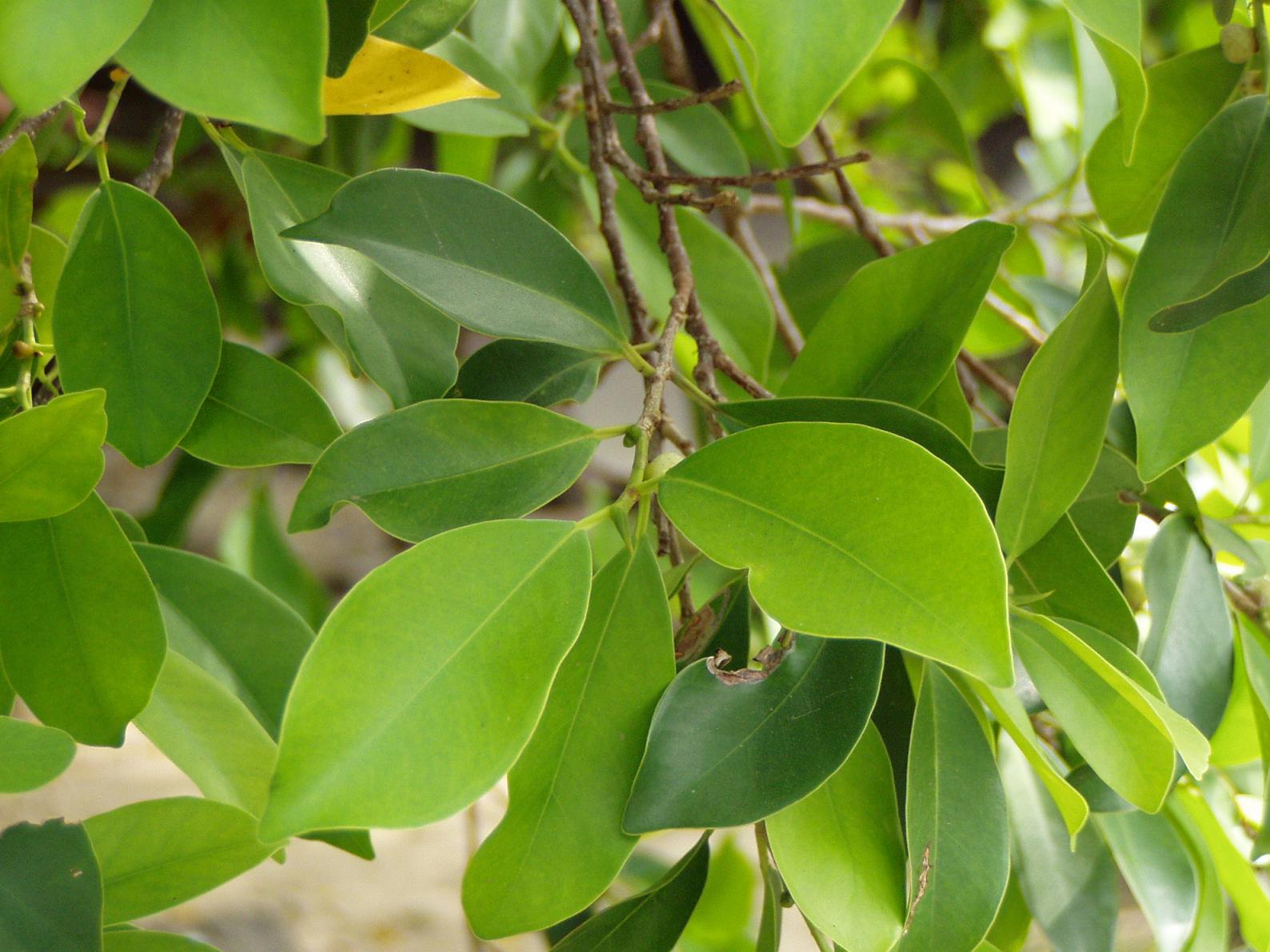 «ö¦¹¦b·sµøµ¡ÂsÄý¹Ï¤ù