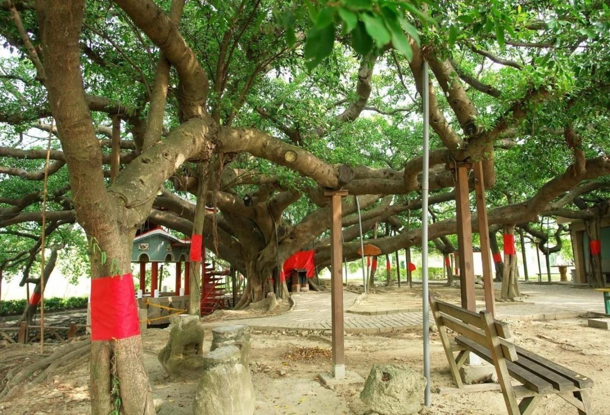 «ö¦¹¦b·sµøµ¡ÂsÄý¹Ï¤ù