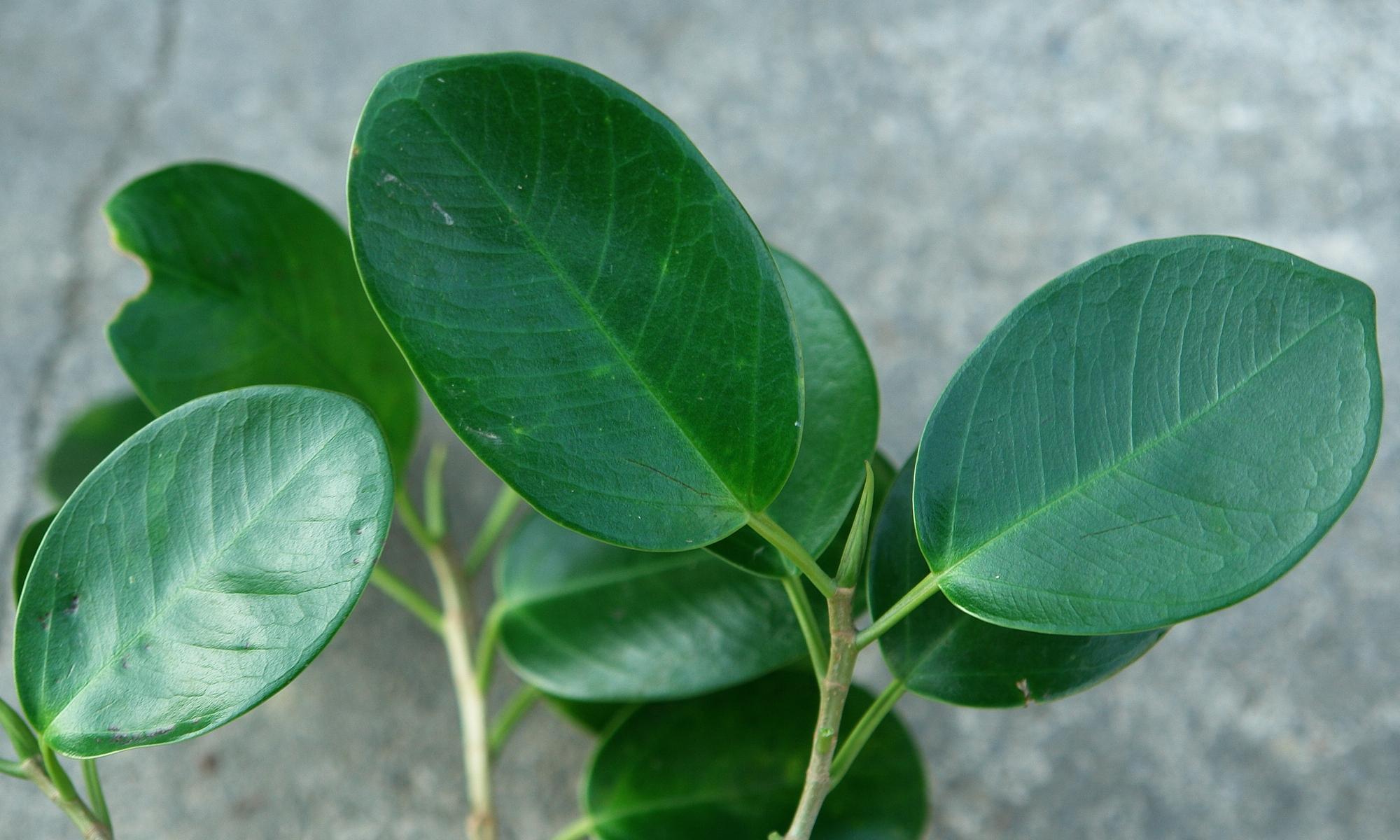 «ö¦¹¦b·sµøµ¡ÂsÄý¹Ï¤ù