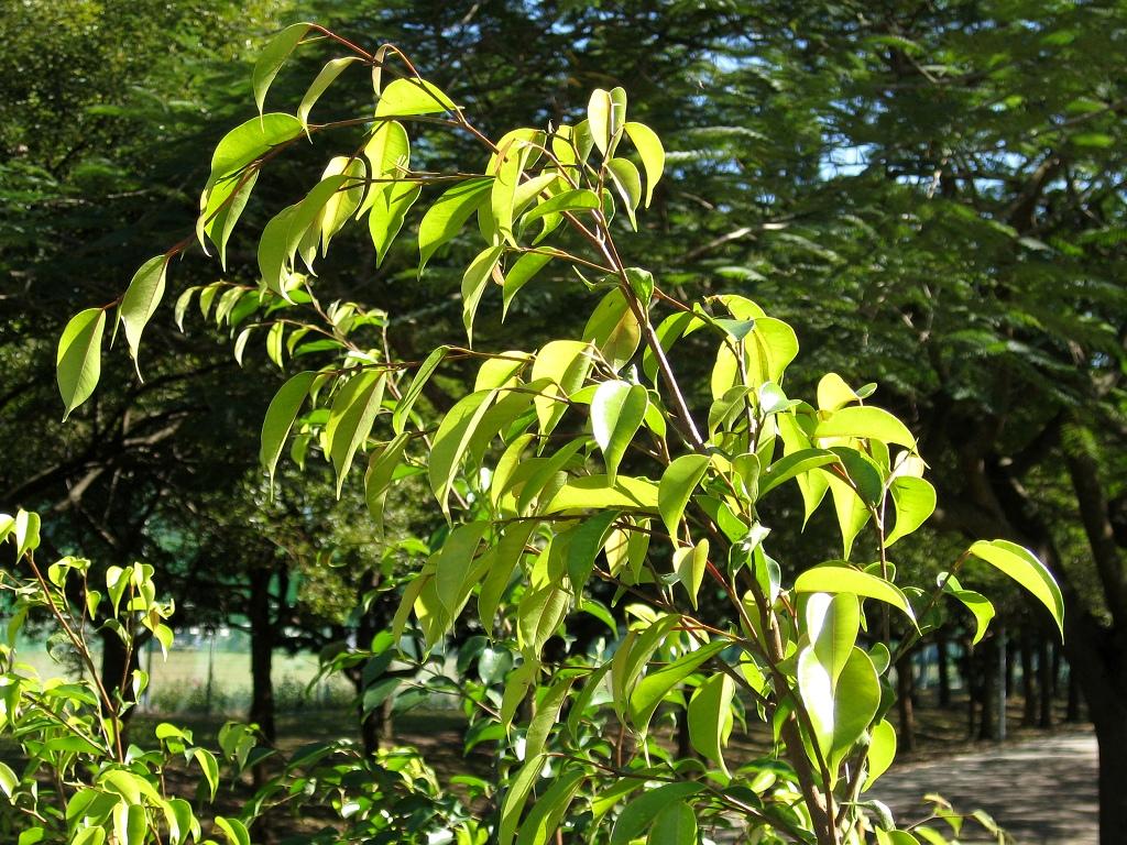 «ö¦¹¦b·sµøµ¡ÂsÄý¹Ï¤ù