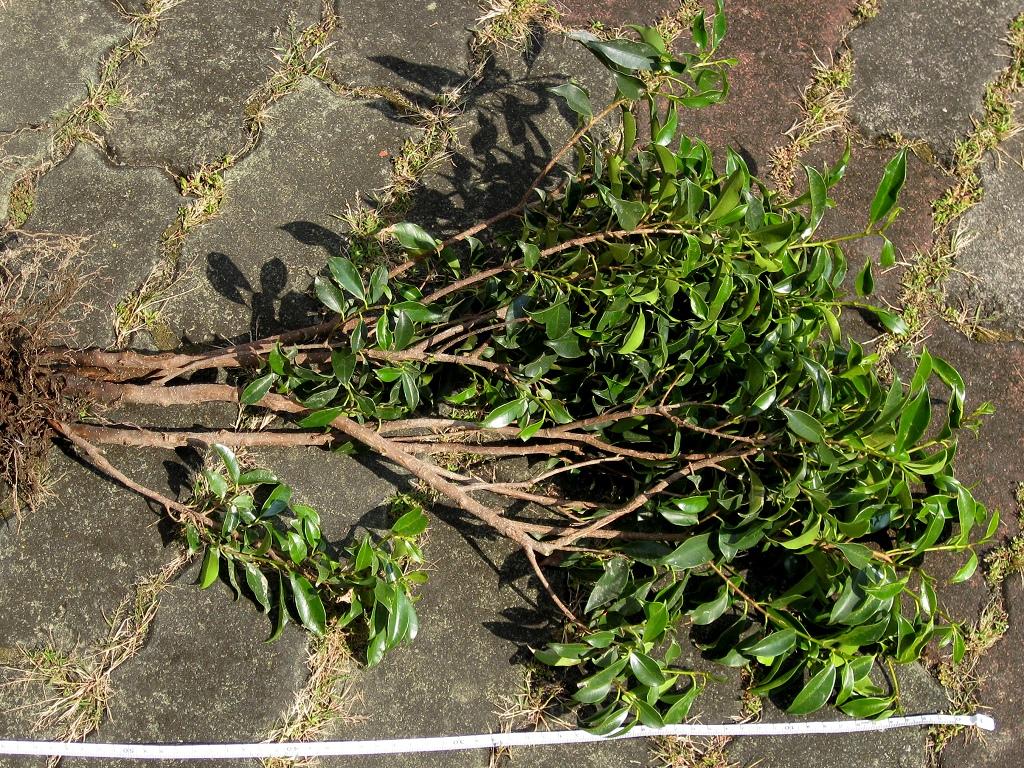 «ö¦¹¦b·sµøµ¡ÂsÄý¹Ï¤ù