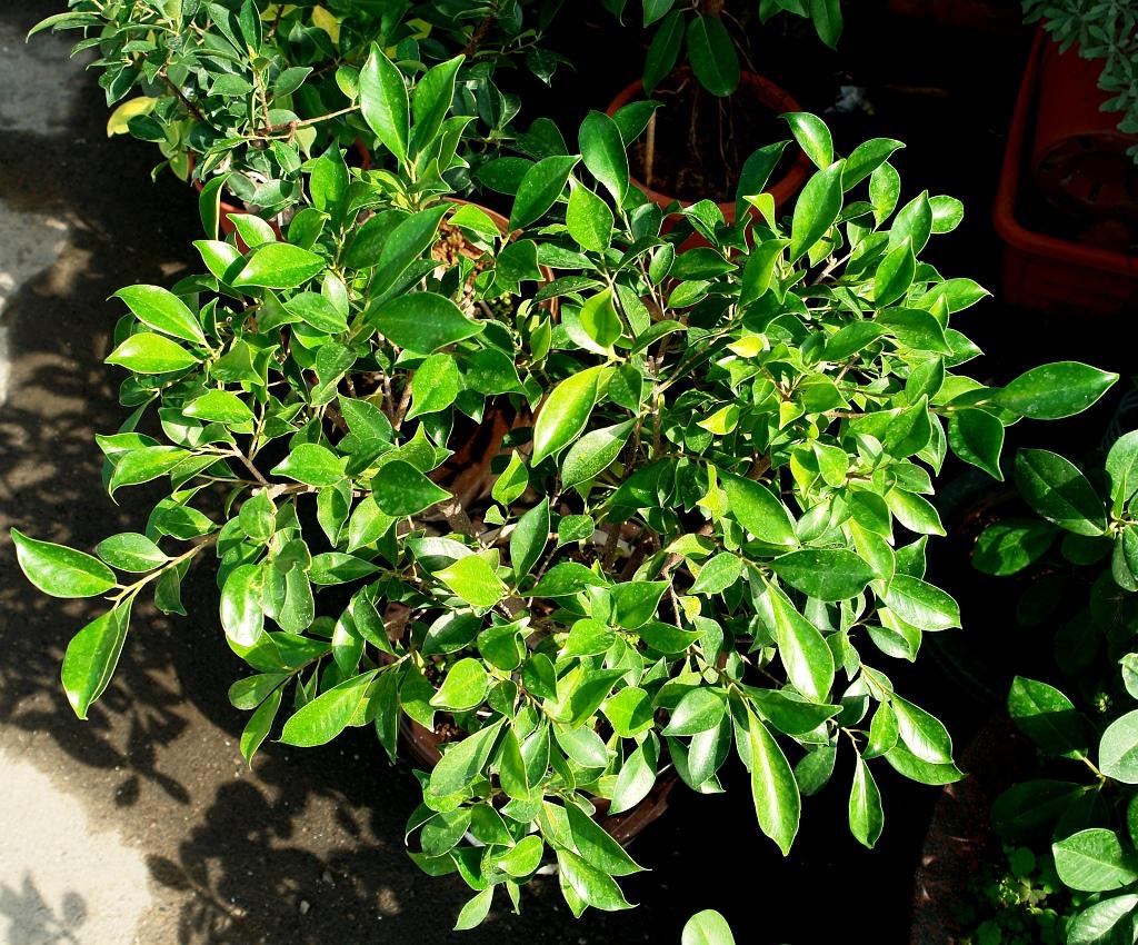 «ö¦¹¦b·sµøµ¡ÂsÄý¹Ï¤ù