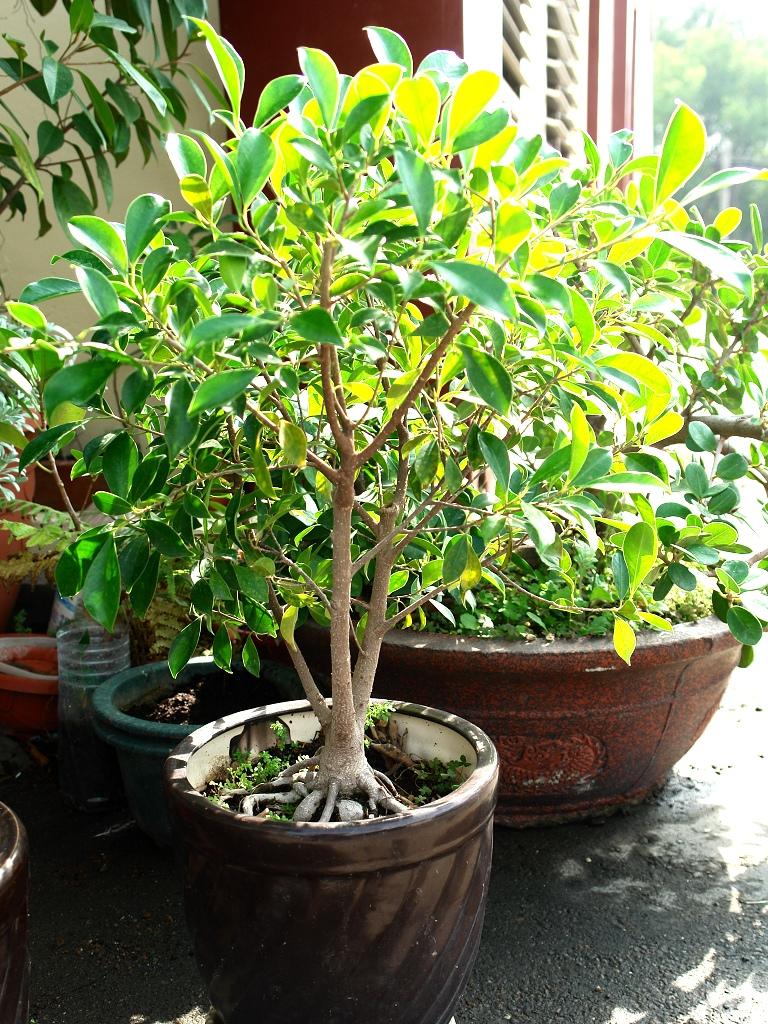 «ö¦¹¦b·sµøµ¡ÂsÄý¹Ï¤ù