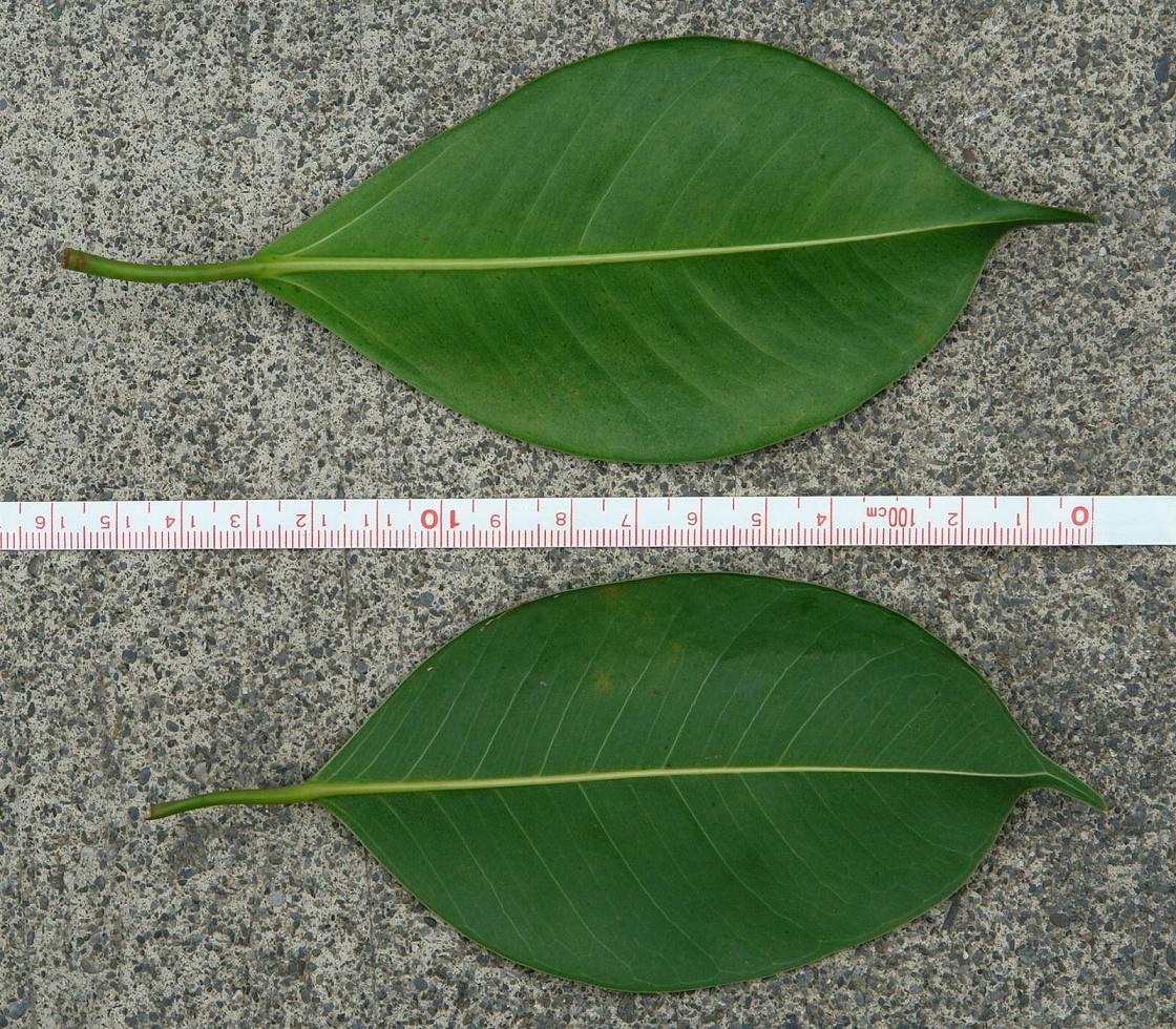 «ö¦¹¦b·sµøµ¡ÂsÄý¹Ï¤ù