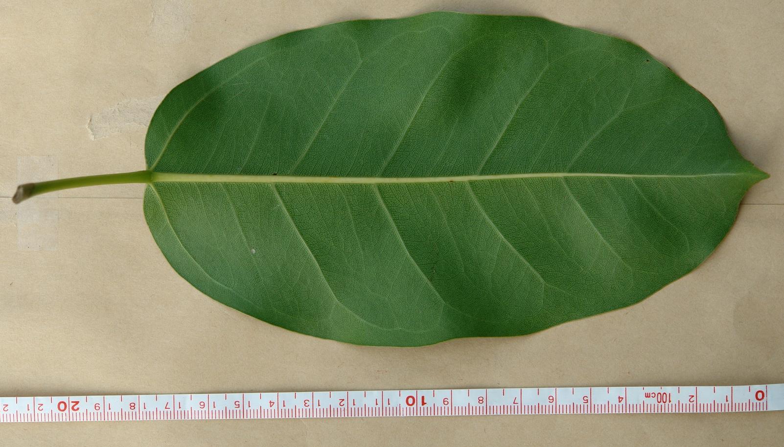 «ö¦¹¦b·sµøµ¡ÂsÄý¹Ï¤ù