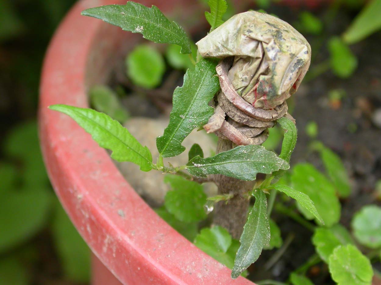 «ö¦¹¦b·sµøµ¡ÂsÄý¹Ï¤ù