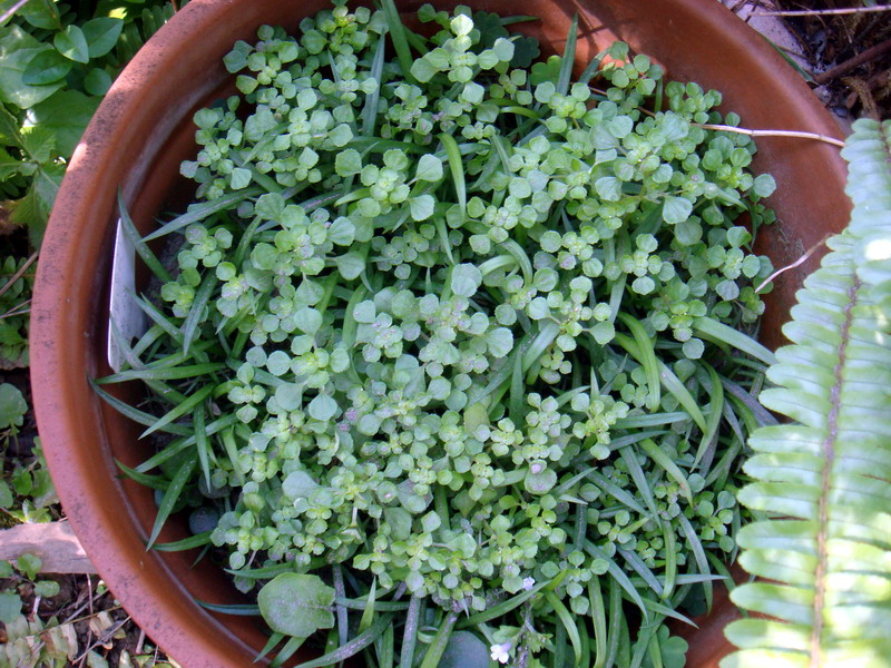 «ö¦¹¦b·sµøµ¡ÂsÄý¹Ï¤ù