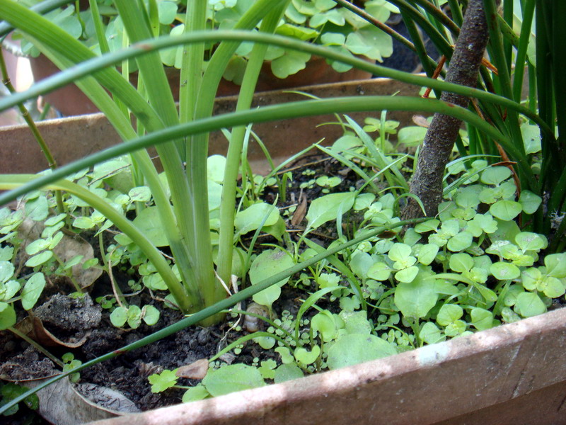 «ö¦¹¦b·sµøµ¡ÂsÄý¹Ï¤ù