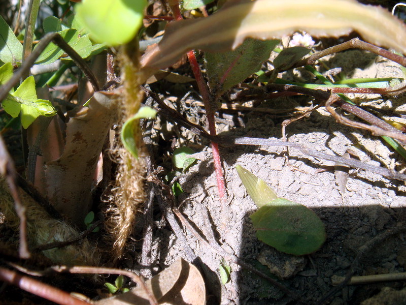 «ö¦¹¦b·sµøµ¡ÂsÄý¹Ï¤ù