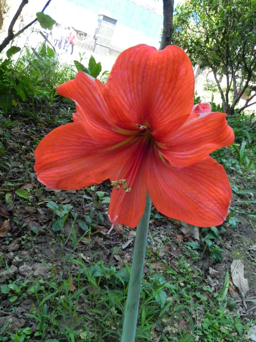 «ö¦¹¦b·sµøµ¡ÂsÄý¹Ï¤ù