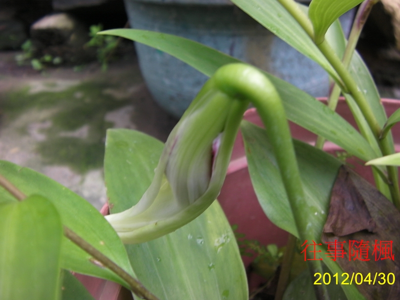 按此在新視窗瀏覽圖片