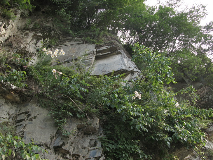 «ö¦¹¦b·sµøµ¡ÂsÄý¹Ï¤ù