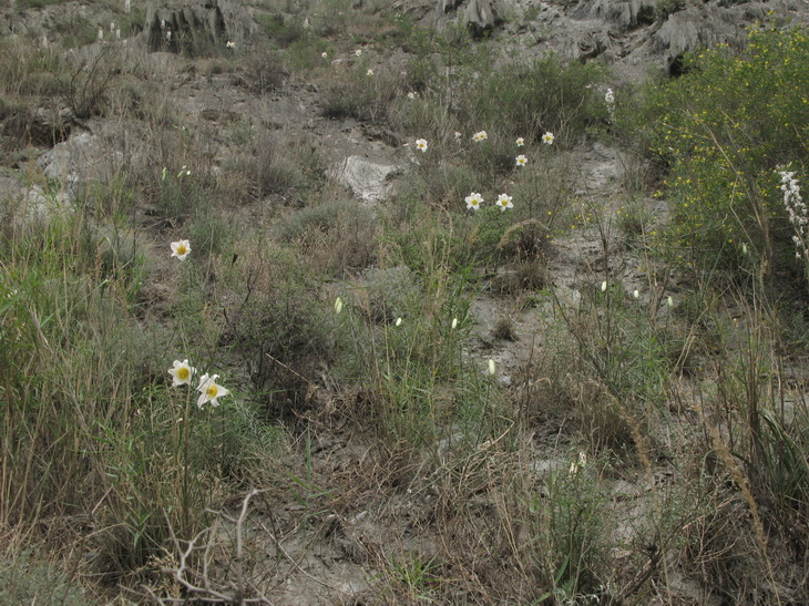 «ö¦¹¦b·sµøµ¡ÂsÄý¹Ï¤ù