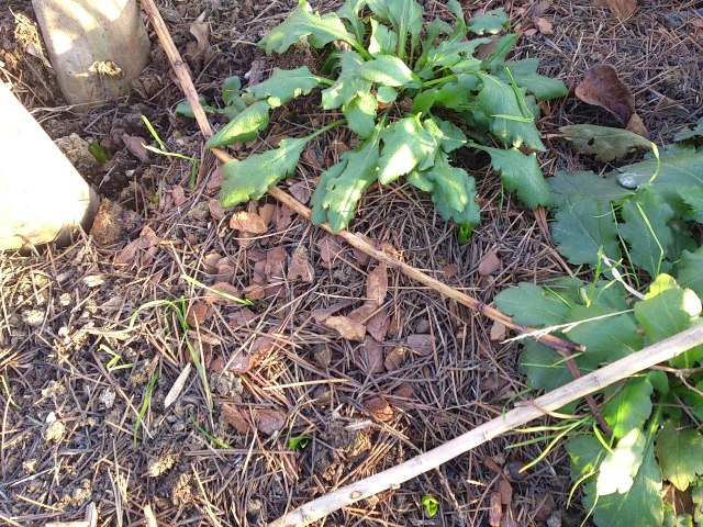 «ö¦¹¦b·sµøµ¡ÂsÄý¹Ï¤ù