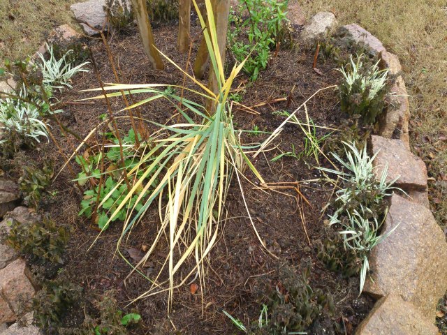 «ö¦¹¦b·sµøµ¡ÂsÄý¹Ï¤ù