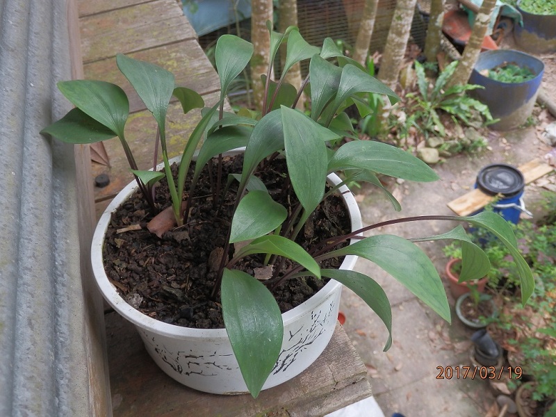 «ö¦¹¦b·sµøµ¡ÂsÄý¹Ï¤ù