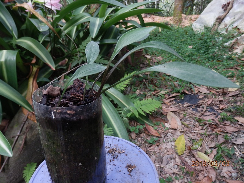 «ö¦¹¦b·sµøµ¡ÂsÄý¹Ï¤ù