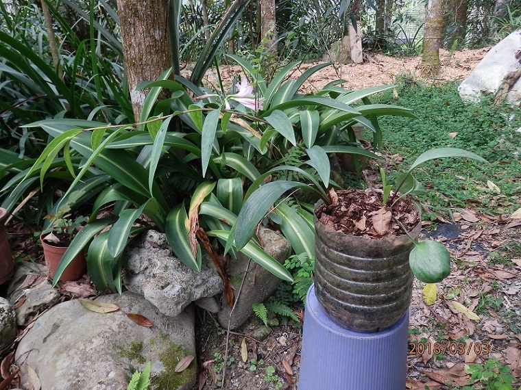 «ö¦¹¦b·sµøµ¡ÂsÄý¹Ï¤ù