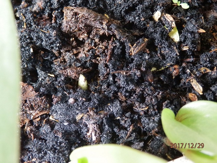 «ö¦¹¦b·sµøµ¡ÂsÄý¹Ï¤ù