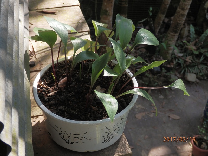 «ö¦¹¦b·sµøµ¡ÂsÄý¹Ï¤ù