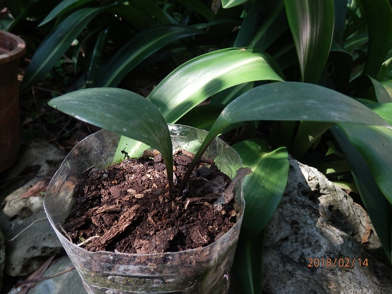 «ö¦¹¦b·sµøµ¡ÂsÄý¹Ï¤ù