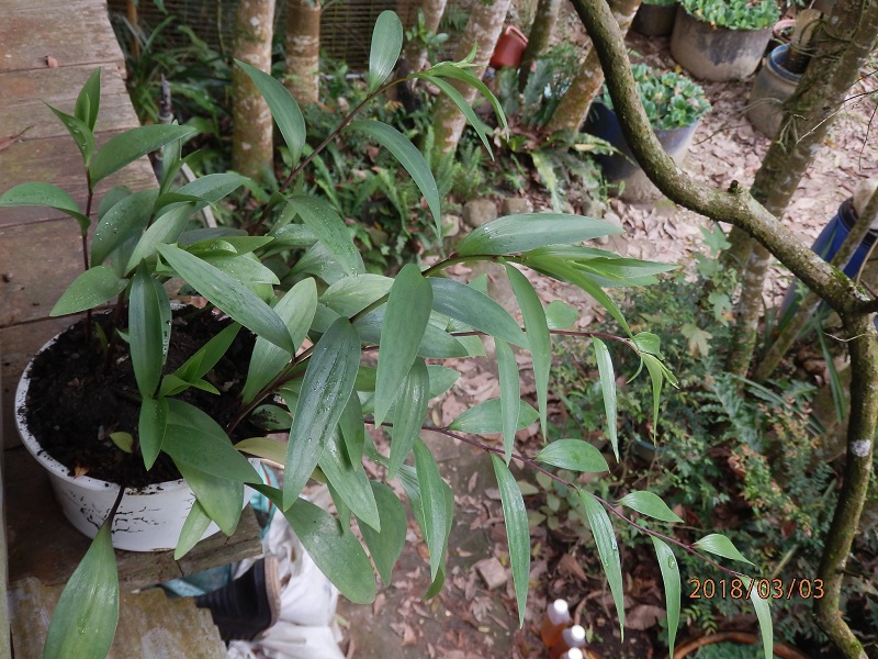 «ö¦¹¦b·sµøµ¡ÂsÄý¹Ï¤ù