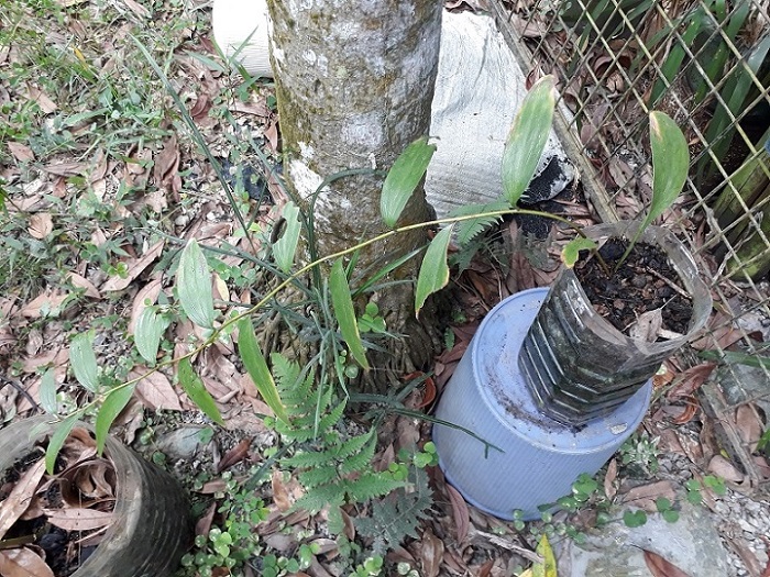 «ö¦¹¦b·sµøµ¡ÂsÄý¹Ï¤ù