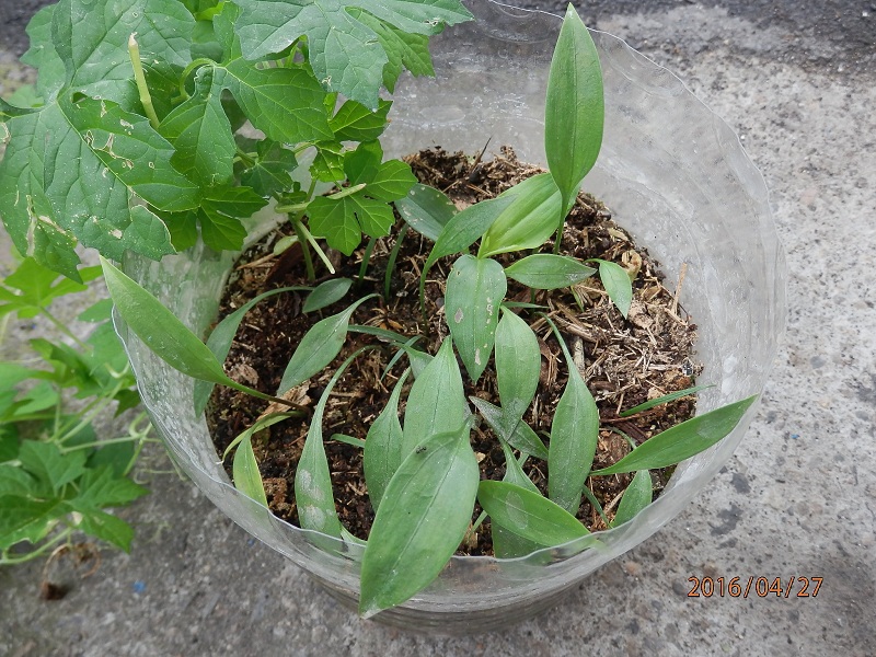 «ö¦¹¦b·sµøµ¡ÂsÄý¹Ï¤ù