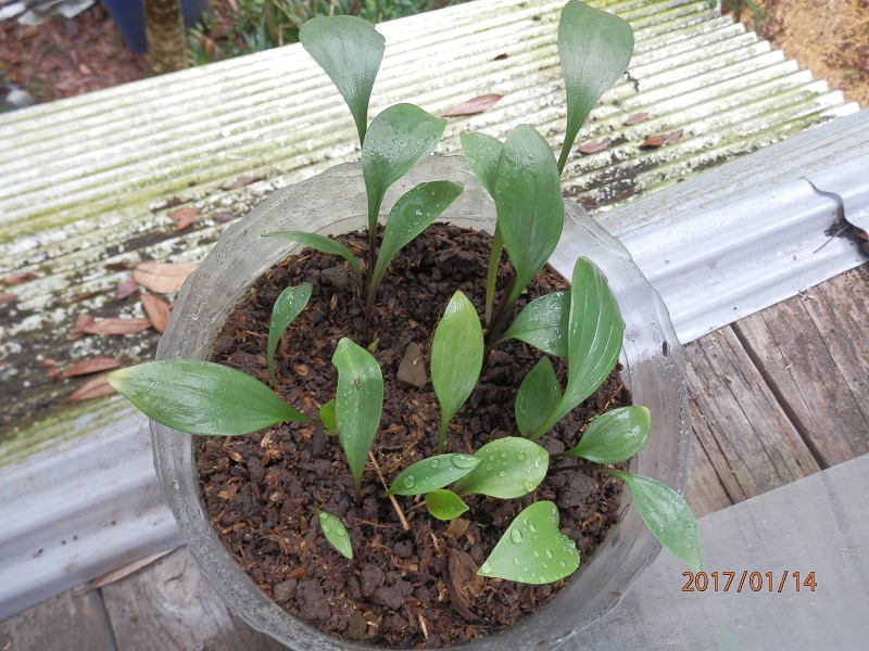 «ö¦¹¦b·sµøµ¡ÂsÄý¹Ï¤ù