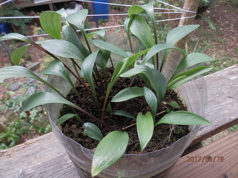 «ö¦¹¦b·sµøµ¡ÂsÄý¹Ï¤ù