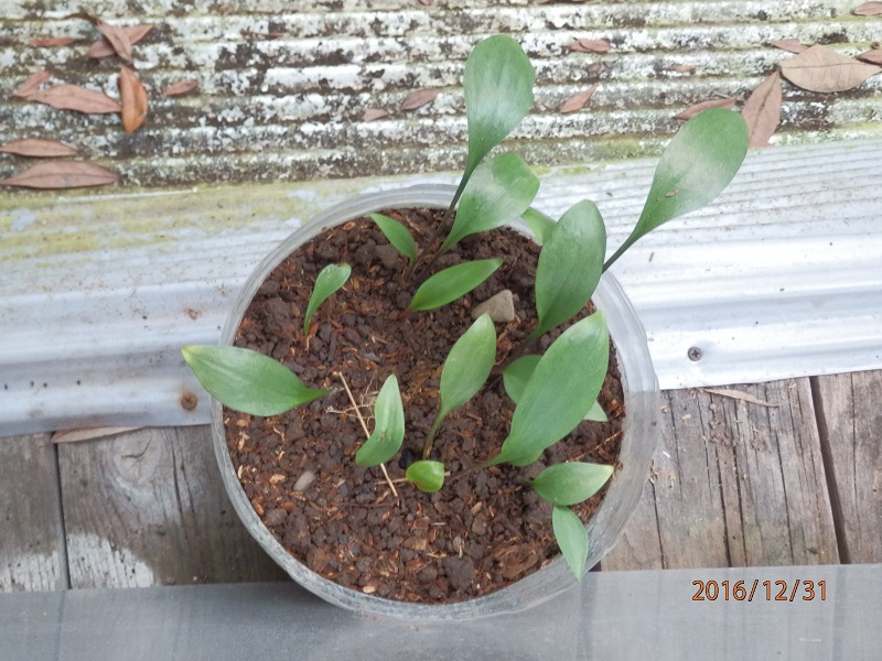 «ö¦¹¦b·sµøµ¡ÂsÄý¹Ï¤ù