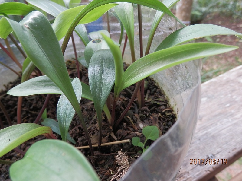 «ö¦¹¦b·sµøµ¡ÂsÄý¹Ï¤ù