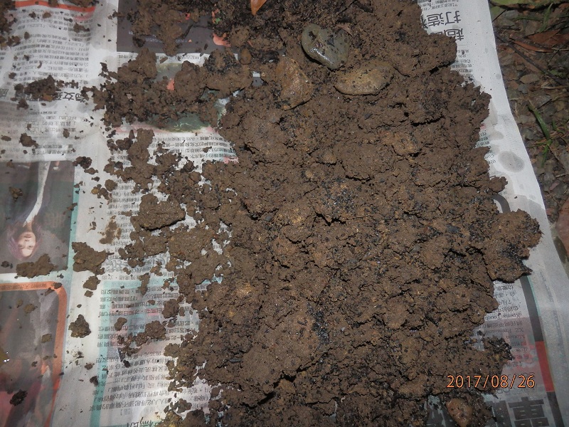 «ö¦¹¦b·sµøµ¡ÂsÄý¹Ï¤ù