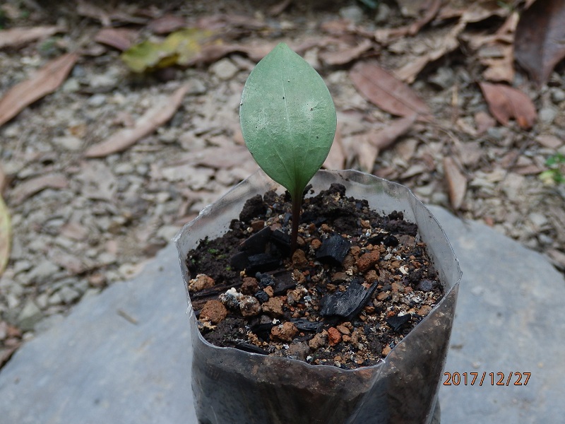 «ö¦¹¦b·sµøµ¡ÂsÄý¹Ï¤ù