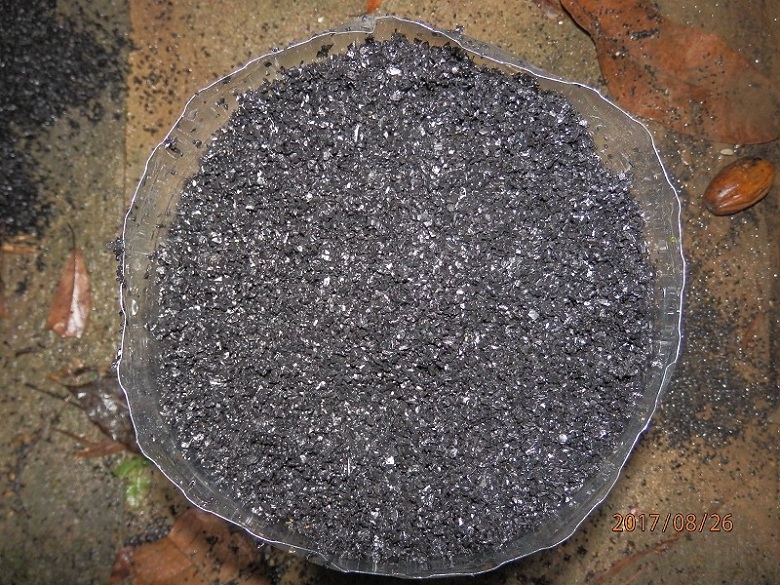 «ö¦¹¦b·sµøµ¡ÂsÄý¹Ï¤ù