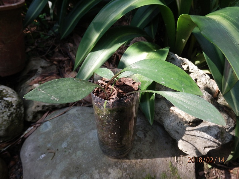 «ö¦¹¦b·sµøµ¡ÂsÄý¹Ï¤ù