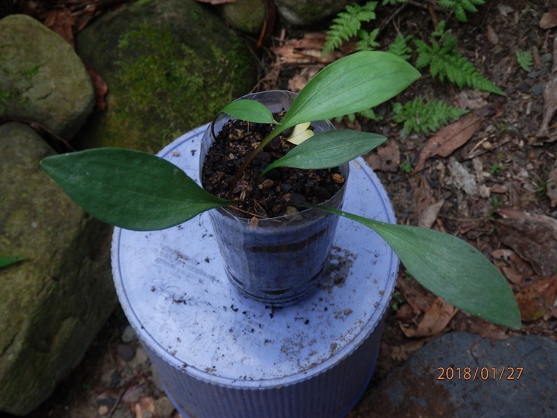 «ö¦¹¦b·sµøµ¡ÂsÄý¹Ï¤ù