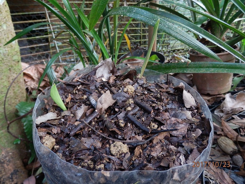 «ö¦¹¦b·sµøµ¡ÂsÄý¹Ï¤ù