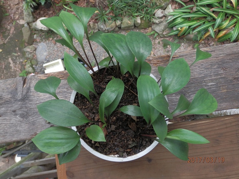 «ö¦¹¦b·sµøµ¡ÂsÄý¹Ï¤ù